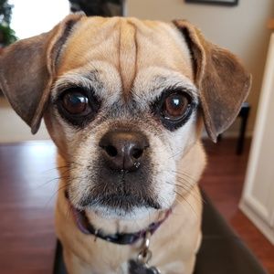 Meet your Posher, Caroline